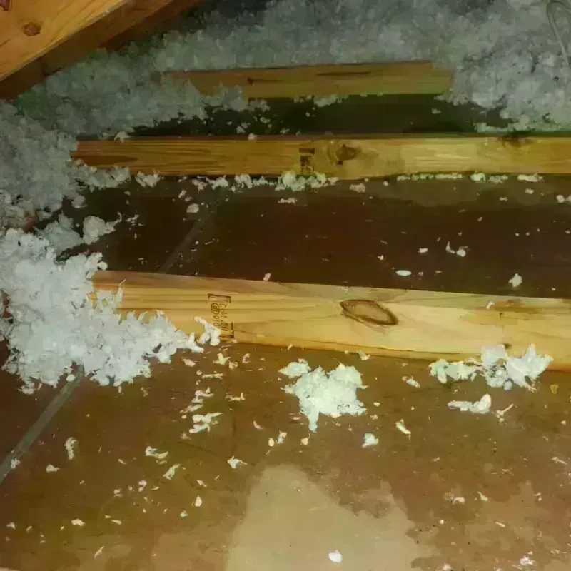 Attic Water Damage in Grantville, GA